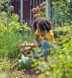 GARDENA - ExpertCut - Snoeischaar - 22 Diameter Tak -Gardena Tuin Aanbiedingen Winkel 1116x1200