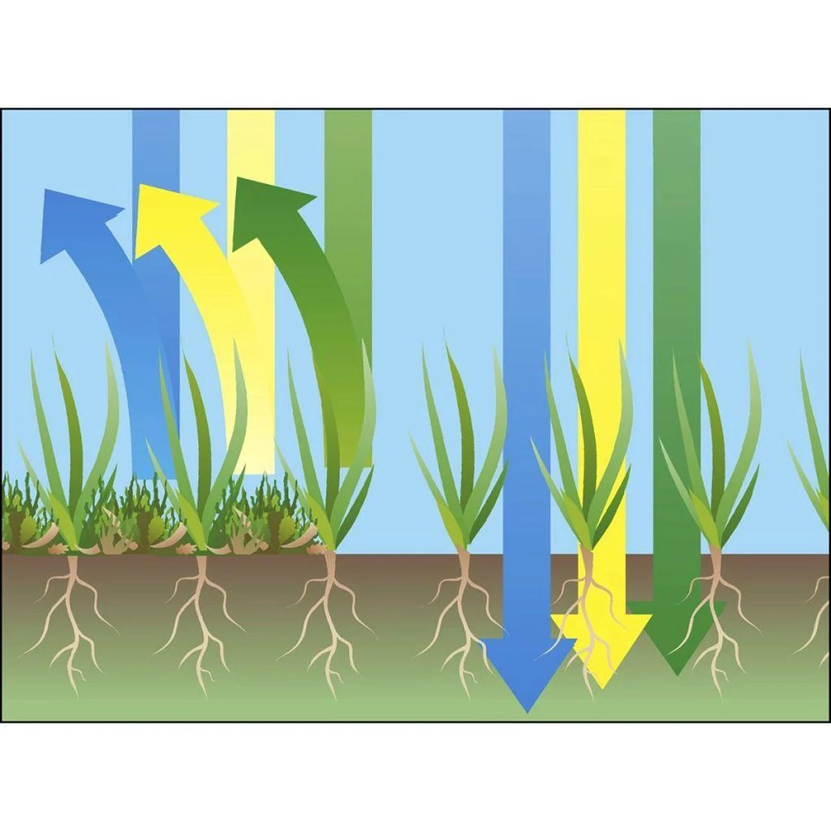 GARDENA EVC 1000 Verticuteermachine - Werkbreedte 30 Cm - Werkgebied 600m2 12 GARDENA EVC 1000 Verticuteermachine - Werkbreedte 30 Cm - Werkgebied 600m2 - Afbeelding 12