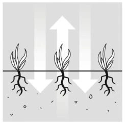 GARDENA EVC 1000 Verticuteermachine - Werkbreedte 30 Cm - Werkgebied 600m2 26 GARDENA EVC 1000 Verticuteermachine - Werkbreedte 30 Cm - Werkgebied 600m2 -Gardena Tuin Aanbiedingen Winkel 1200x1200 40