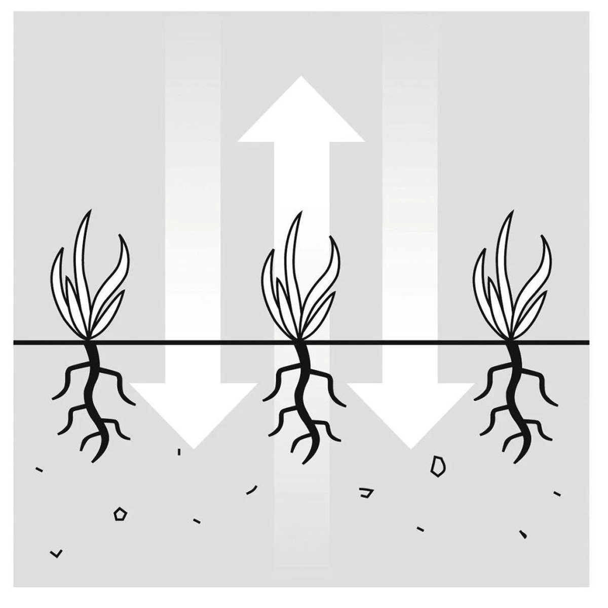 GARDENA EVC 1000 Verticuteermachine - Werkbreedte 30 Cm - Werkgebied 600m2 13 GARDENA EVC 1000 Verticuteermachine - Werkbreedte 30 Cm - Werkgebied 600m2 - Afbeelding 13