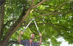 Gardena EasyCut Takkenschaar 68B + Classic Snoeischaar 8754 Display 1stuk 12003-30 18 Gardena EasyCut Takkenschaar 68B + Classic Snoeischaar 8754 Display 1stuk 12003-30 -Gardena Tuin Aanbiedingen Winkel 1200x749 2