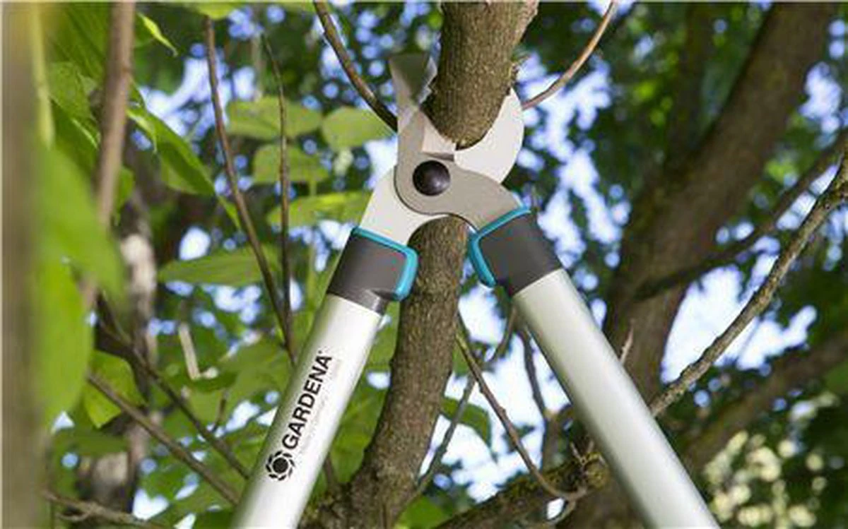 Gardena EasyCut Takkenschaar 68B + Classic Snoeischaar 8754 Display 1stuk 12003-30 5 Gardena EasyCut Takkenschaar 68B + Classic Snoeischaar 8754 Display 1stuk 12003-30 - Afbeelding 5