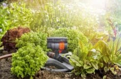 GARDENA - Zwenksproeier AquaZoom Compact - Tuinsproeier - 9 Tot 216 M² -Gardena Tuin Aanbiedingen Winkel 1200x785