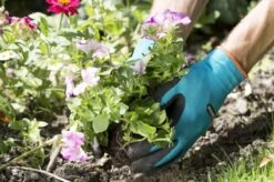 Gardena Plant- En Bodem Handschoen - Maat: M -Gardena Tuin Aanbiedingen Winkel 1200x799 133