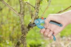 GARDENA Classic Aambeeld Snoeischaar - Ø 18 Mm -Gardena Tuin Aanbiedingen Winkel 1200x799 17