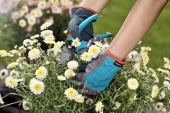 Gardena 11502-20 Tuinhandschoenen - 9/L -Gardena Tuin Aanbiedingen Winkel 1200x799 174