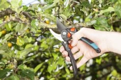 GARDENA - Comfort B/S-XL Bypass - Snoeischaar - Ø 24 Mm - 25 Jaar Garantie -Gardena Tuin Aanbiedingen Winkel 1200x799 23