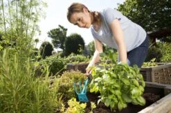 GARDENA Combisystem Tuinhak - Werkbreedte 6,5cm - 25 Jaar Garantie -Gardena Tuin Aanbiedingen Winkel 1200x799 49
