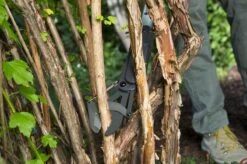 GARDENA - SlimCut Takkenschaar -28mm- Met Hefboommechanisme 12 GARDENA - SlimCut Takkenschaar -28mm- Met Hefboommechanisme -Gardena Tuin Aanbiedingen Winkel 1200x799 61