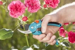 GARDENA - Classic B/S-M Bypass Snoeischaar - Ø 22mm - 25 Jaar Garantie 18 GARDENA - Classic B/S-M Bypass Snoeischaar - Ø 22mm - 25 Jaar Garantie -Gardena Tuin Aanbiedingen Winkel 1200x799 79