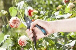 GARDENA Comfort B/M Bypass Snoeischaar - Ø 24mm - Met Sapgeul -Gardena Tuin Aanbiedingen Winkel 1200x799 95