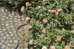 GARDENA Kraanverbindingsstuk Binnenshuis -Gardena Tuin Aanbiedingen Winkel 1200x800 118