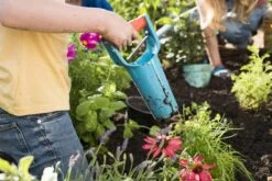 GARDENA Bollenplanter - Diepteaanduiding - Automatische Aardeloslating -Gardena Tuin Aanbiedingen Winkel 1200x800 13