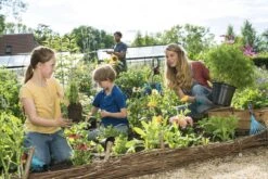 GARDENA Combisystem Bladharkje - Werkbreedte 12 Cm - 25 Jaar Garantie -Gardena Tuin Aanbiedingen Winkel 1200x800 24