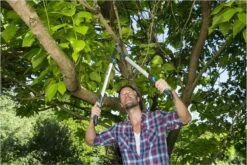 GARDENA EnergyCut Takkenschaar 75B - 42mm 11 GARDENA EnergyCut Takkenschaar 75B - 42mm -Gardena Tuin Aanbiedingen Winkel 1200x800 29