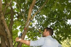 Gardena TeleCut Takkenschaar 650-900 B - Uitschuifbare Armen - Tot Max 90 Cm -Gardena Tuin Aanbiedingen Winkel 1200x800 45