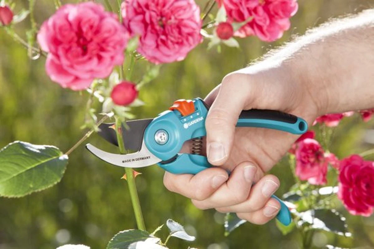 GARDENA - Classic B/S-M Bypass Snoeischaar - Ø 22mm - 25 Jaar Garantie 9 GARDENA - Classic B/S-M Bypass Snoeischaar - Ø 22mm - 25 Jaar Garantie - Afbeelding 9