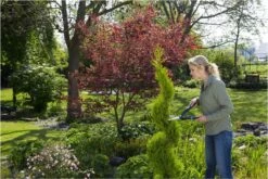 GARDENA PrecisionCut Buxusschaar - Meslengte 18 Cm - Vormsnoeien -Gardena Tuin Aanbiedingen Winkel 1200x800 64