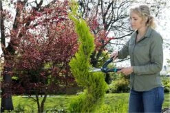 GARDENA PrecisionCut Buxusschaar - Meslengte 18 Cm - Vormsnoeien -Gardena Tuin Aanbiedingen Winkel 1200x800 65