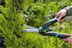 GARDENA PrecisionCut Buxusschaar - Meslengte 18 Cm - Vormsnoeien -Gardena Tuin Aanbiedingen Winkel 1200x800 66