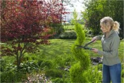 GARDENA PrecisionCut Buxusschaar - Meslengte 18 Cm - Vormsnoeien -Gardena Tuin Aanbiedingen Winkel 1200x800 68