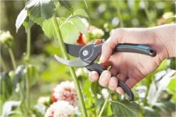 GARDENA Comfort B/M Bypass Snoeischaar - Ø 24mm - Met Sapgeul -Gardena Tuin Aanbiedingen Winkel 1200x800 76