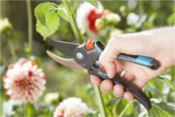 GARDENA Comfort B/M Bypass Snoeischaar - Ø 24mm - Met Sapgeul -Gardena Tuin Aanbiedingen Winkel 1200x800 78