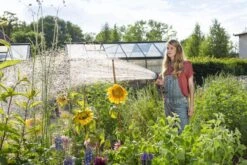 GARDENA - Comfort Broeskop - 5 Straalsoorten - Grijs -Gardena Tuin Aanbiedingen Winkel 1200x800 94