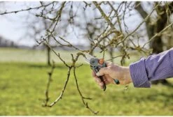 GARDENA - ExpertCut - Snoeischaar - 22 Diameter Tak -Gardena Tuin Aanbiedingen Winkel 1200x815 1