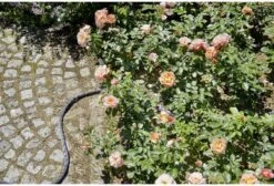GARDENA - Textielslang Liano™ - Tuinslang - 30 M - 13 Mm 12 GARDENA - Textielslang Liano™ - Tuinslang - 30 M - 13 Mm -Gardena Tuin Aanbiedingen Winkel 1200x815 4