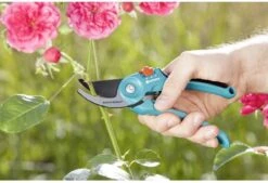 GARDENA - Classic B/S-M Bypass Snoeischaar - Ø 22mm - 25 Jaar Garantie 20 GARDENA - Classic B/S-M Bypass Snoeischaar - Ø 22mm - 25 Jaar Garantie -Gardena Tuin Aanbiedingen Winkel 1200x820 2