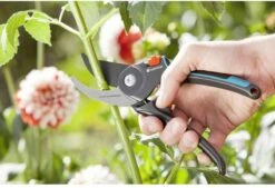 GARDENA Comfort B/M Bypass Snoeischaar - Ø 24mm - Met Sapgeul -Gardena Tuin Aanbiedingen Winkel 1200x822 2