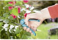 GARDENA - Classic B/S-M Bypass Snoeischaar - Ø 22mm - 25 Jaar Garantie 23 GARDENA - Classic B/S-M Bypass Snoeischaar - Ø 22mm - 25 Jaar Garantie -Gardena Tuin Aanbiedingen Winkel 1200x825 15