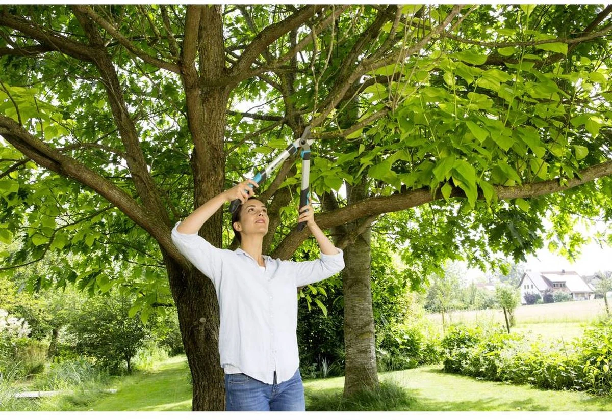 Gardena EasyCut 500 Takkenschaar 5 Gardena EasyCut 500 Takkenschaar - Afbeelding 5