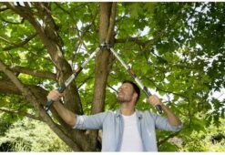 Gardena TeleCut Takkenschaar 650-900 B - Uitschuifbare Armen - Tot Max 90 Cm -Gardena Tuin Aanbiedingen Winkel 1200x826 1