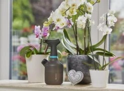 Gardena Plantenspuit 1 Liter 20 Gardena Plantenspuit 1 Liter -Gardena Tuin Aanbiedingen Winkel 1200x879 4