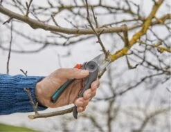 GARDENA - ExpertCut - Snoeischaar - 22 Diameter Tak -Gardena Tuin Aanbiedingen Winkel 1200x929