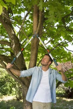 Gardena TeleCut Takkenschaar 650-900 B - Uitschuifbare Armen - Tot Max 90 Cm -Gardena Tuin Aanbiedingen Winkel 800x1200 23