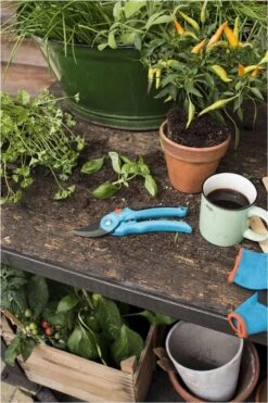 GARDENA - Classic B/S-M Bypass Snoeischaar - Ø 22mm - 25 Jaar Garantie 16 GARDENA - Classic B/S-M Bypass Snoeischaar - Ø 22mm - 25 Jaar Garantie -Gardena Tuin Aanbiedingen Winkel 800x1200 24