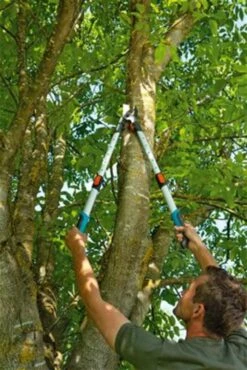 Gardena TeleCut Takkenschaar 650-900 B - Uitschuifbare Armen - Tot Max 90 Cm -Gardena Tuin Aanbiedingen Winkel 801x1200 7