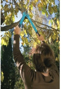 GARDENA Comfort 500 BL Takkenschaar - Max Knipdiameter 35 Mm -Gardena Tuin Aanbiedingen Winkel 825x1200 13