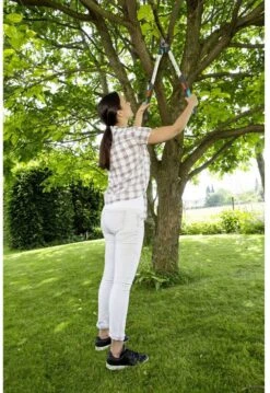 GARDENA - TeleCut Telescopische - Takkenschaar 520-670B - 42 Mm Verstelbare Lengte 14 GARDENA - TeleCut Telescopische - Takkenschaar 520-670B - 42 Mm Verstelbare Lengte -Gardena Tuin Aanbiedingen Winkel 826x1200