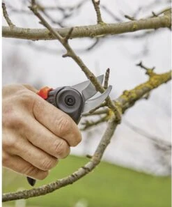 GARDENA - ExpertCut - Snoeischaar - 22 Diameter Tak -Gardena Tuin Aanbiedingen Winkel 999x1200